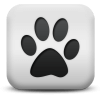 Captcha image 3851